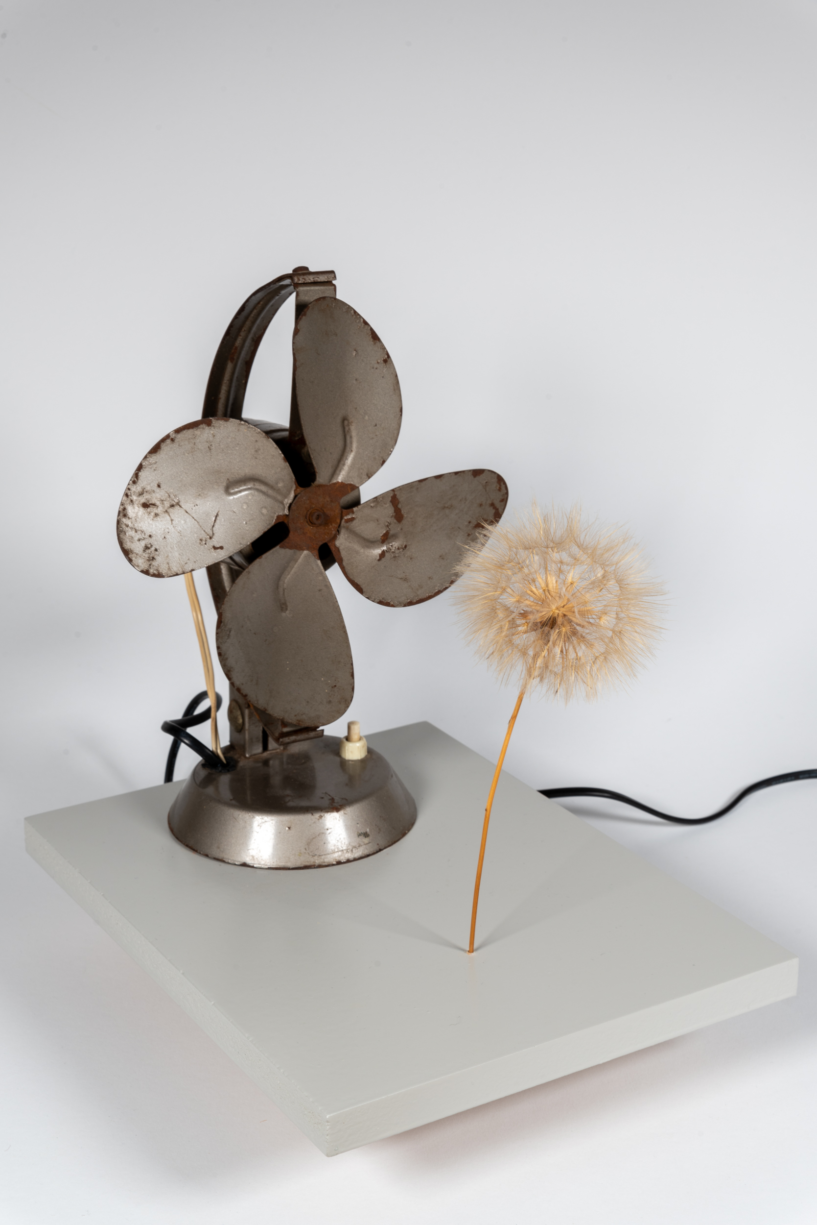 (Don’t) Do It — paneel met oude ventilator gericht op paardenbloempluis